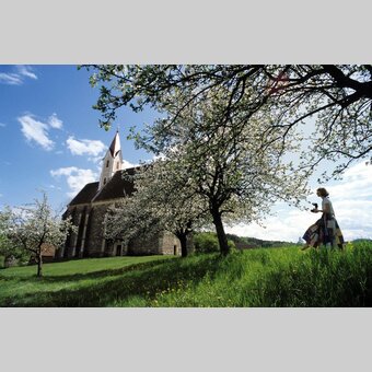 Kirche St. Stefan im blühenden Frühling | ©  Oststeiermark Tourismus | Bernhard Bergmann