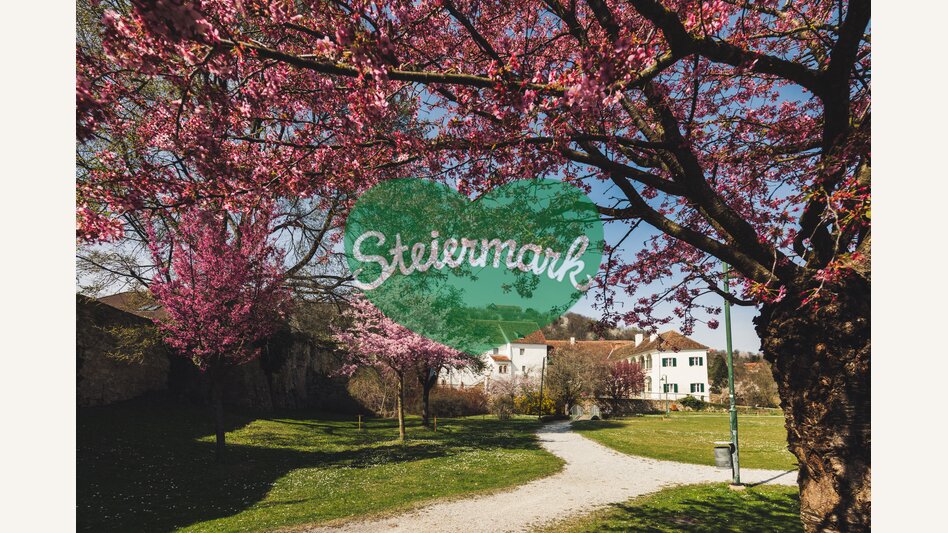 Aufblühen im Schlosspark Hartberg in der Oststeiermark | © Oststeiermark Tourismus | Bernhard Bergmann