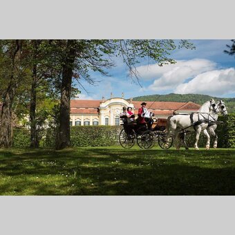 Schlosskutscher mit Kutsche vor dem Schloss Schielleiten | ©  Oststeiermark Tourismus | Bernhard Bergmann