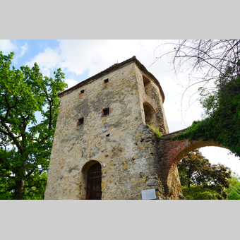Reckturm im Stadtpark von Hartberg in der Oststeiermark | © Oststeiermark Tourismus | Nicole Friesenbichler
