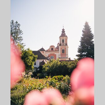 Schlosspark und Kirche in Pöllau in der Oststeiermark | © Oststeiermark Tourismus | studio draussen