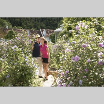 Im blühenden Park beim Schloss Herberstein in der Oststeiermark | Bernhard Bergmann | © Oststeiermark Tourismus, Bernhard Bergmann