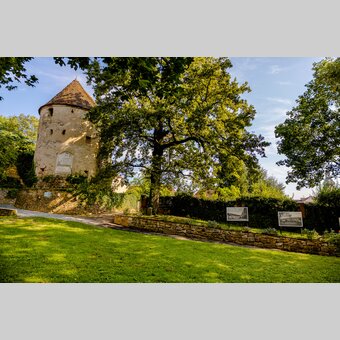 Reckturm im Stadtpark Hartberg in der Oststeiermark | © Oststeiermark Tourismus | Wolfgang Spekner