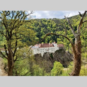 Aussicht auf Schloss Herberstein in der Oststeiermark | ©  Oststeiermark Tourismus | Christine Pollhammer