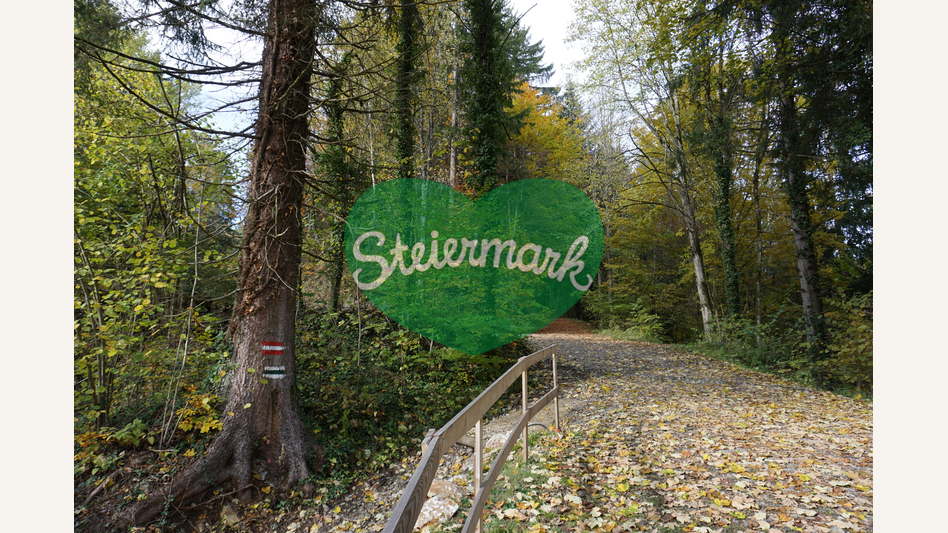 Wanderweg bei der Burgruine Waxenegg | ©  Oststeiermark Tourismus | Jasmin Perhofer