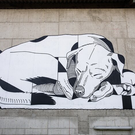 Spraykunstwerk von David Leitner in der Wiesengasse 39 in Hartberg | © TV Oststeiermark | Rabbit Eye Movement