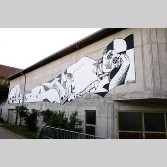 Spraykunstwerk von David Leitner in der Wiesengasse 39 in Hartberg | ©  Oststeiermark Tourismus | Rabbit Eye Movement