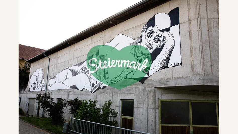 Spraykunstwerk von David Leitner in der Wiesengasse 39 in Hartberg | ©  Oststeiermark Tourismus | Rabbit Eye Movement