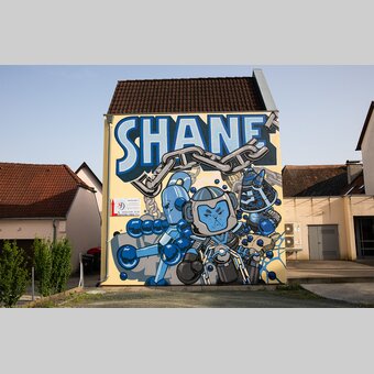 Spraykunstwerk von Shane in der Alleegasse 12 in Hartberg | ©  Oststeiermark Tourismus | Rabbit Eye Movement
