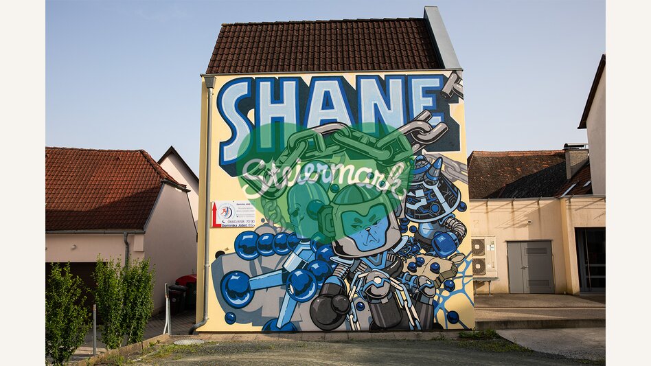 Spraykunstwerk von Shane in der Alleegasse 12 in Hartberg | ©  Oststeiermark Tourismus | Rabbit Eye Movement