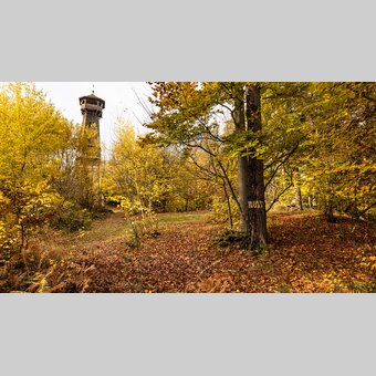 Ringwarte im herbstlichen Wald | ©  Oststeiermark Tourismus | Bernhard Bergmann