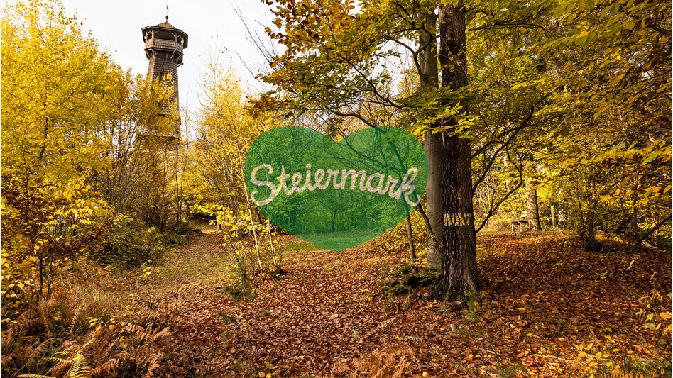 Ringwarte im herbstlichen Wald | ©  Oststeiermark Tourismus | Bernhard Bergmann