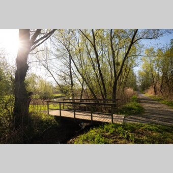 Brücke im Gmoos in Hartberg | ©  Oststeiermark Tourismus | Bernhard Bergmann