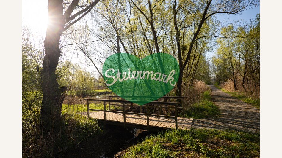 Brücke im Gmoos in Hartberg | ©  Oststeiermark Tourismus | Bernhard Bergmann