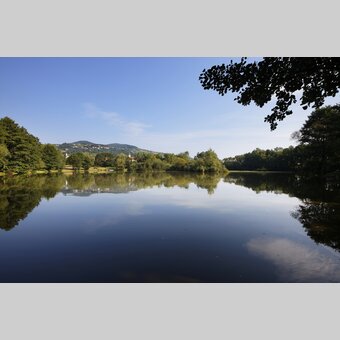 Gmoos Teich mit Blick auf Hartberger Ringkogel | ©  Oststeiermark Tourismus | Bernhard Bergmann