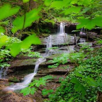 Brühlbach in Hartberg in Eastern Styria | © TV Oststeiermark | Bernhard Bergmann