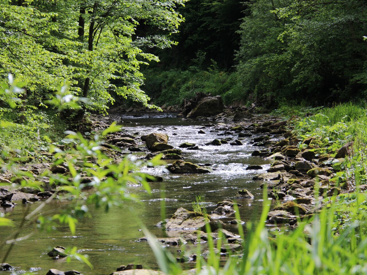 Raabklamm in Eastern Styria | © TV Oststeiermark | Holger Bruckschweiger