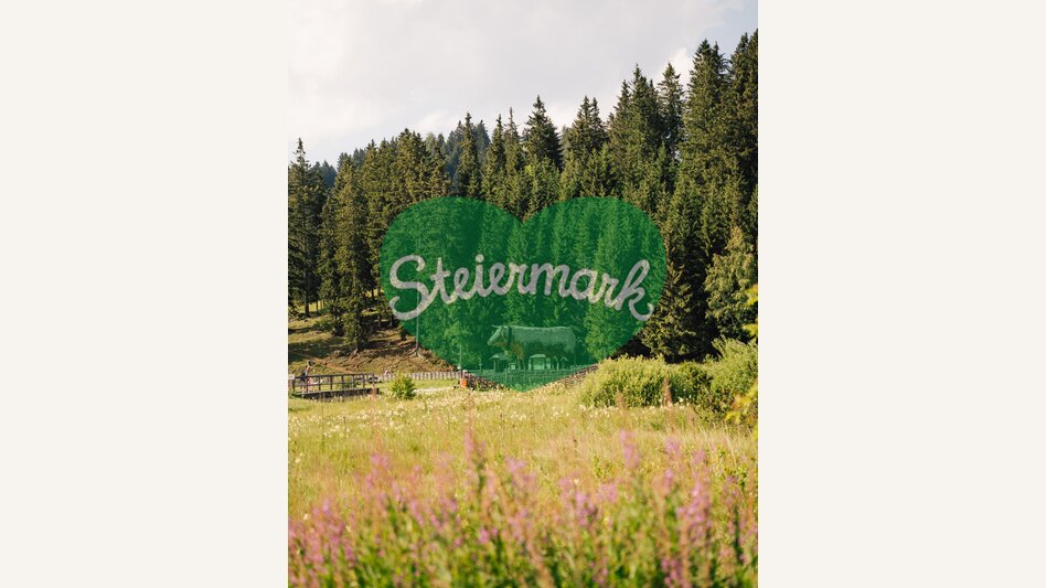 Holzochse am Teichalmsee | studio draussen | © Oststeiermark Tourismus, cmvisuals