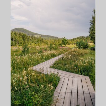 Steg am Moorlehrpfad | studio draussen | © Oststeiermark Tourismus, cmvisuals