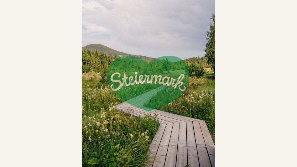 Steg am Moorlehrpfad | studio draussen | © Oststeiermark Tourismus, cmvisuals