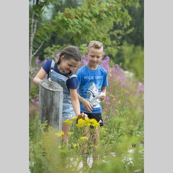 Blumen entdecken am Moorlehrpfad | Rene Strasser | © Oststeiermark Tourismus, Rene Strasser