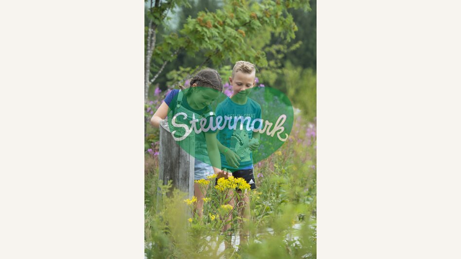 Blumen entdecken am Moorlehrpfad | Rene Strasser | © Oststeiermark Tourismus, Rene Strasser