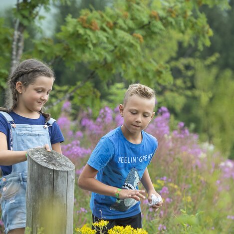 Blumen am Moorlehrpfad | © TV Oststeiermark | Rene Strasser | © Oststeiermark Tourismus, Rene Strasser