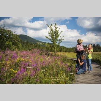 Naturparkführung am Moorlehrpfad | Bernhard Bergmann | © Oststeiermark Tourismus, Bernhard Bergmann