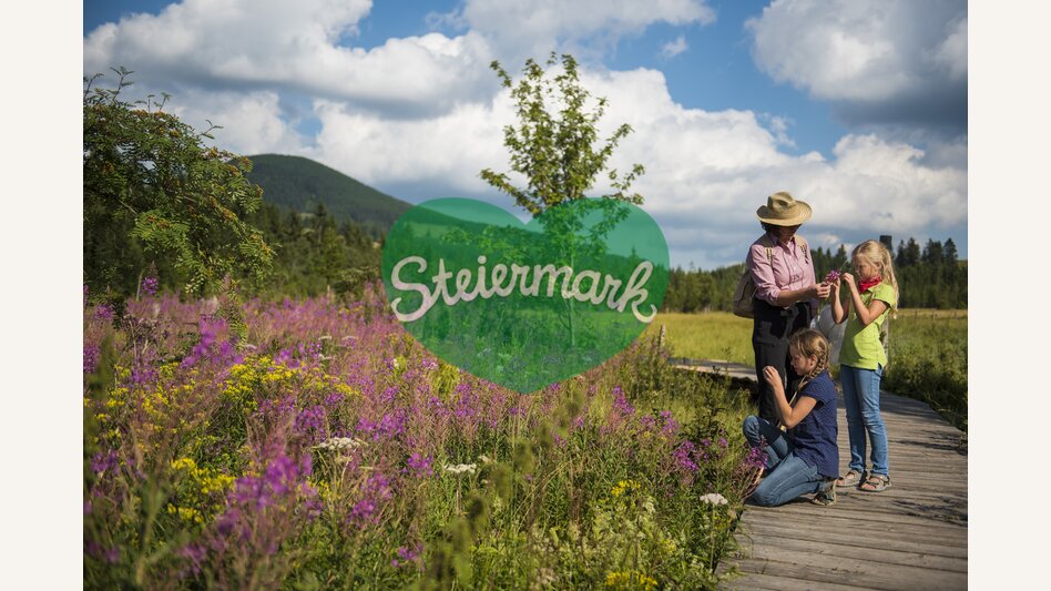 Naturparkführung am Moorlehrpfad | Bernhard Bergmann | © Oststeiermark Tourismus, Bernhard Bergmann