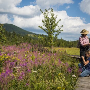 Naturparkführung am Moorlehrpfad | Bernhard Bergmann | © Oststeiermark Tourismus, Bernhard Bergmann