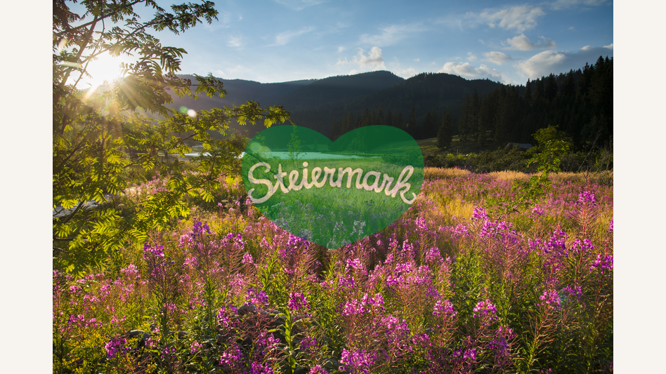 Blumenmeer am Moorlehrpfad in der Oststeiermark | Bernhard Bergmann | © Oststeiermark Tourismus, Bernhard Bergmann