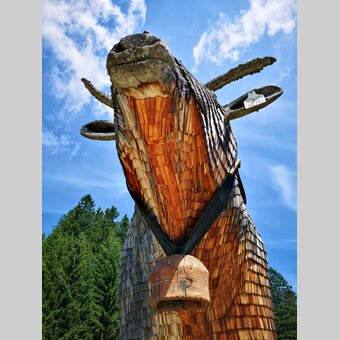 Holzochse am Teichalmsee | Manuela Schnur | © Oststeiermark Tourismus, Schnur