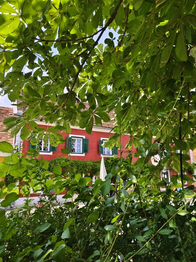 Landgut Riegerbauer in the apple country Stubenbergsee | © 
Oststeiermark Tourismus | Nicole Friesenbichler