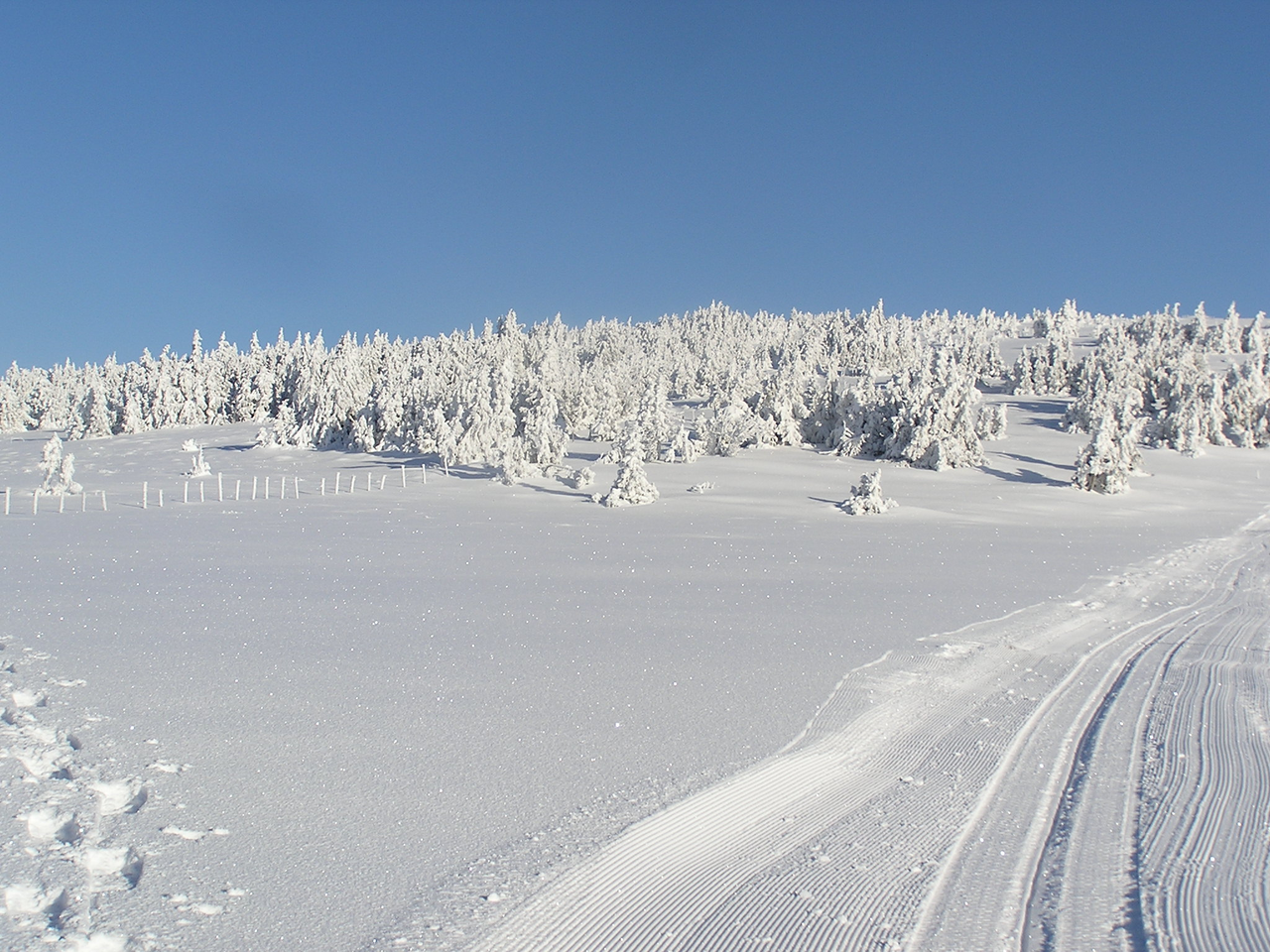 Cross-country skiing on the Rabl-Kreuz cross-country skiing run at the foot of the Hochwechsel in Eastern Styria | ©  Oststeiermark Tourismus | Zingl