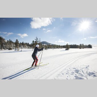 Langläuferin im Almenland | ©  Oststeiermark Tourismus | Harald Eisenberger