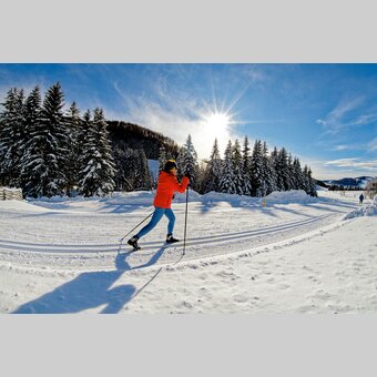 Langlaufen auf der Almenland Loipe in der Oststeiermark | ©  Oststeiermark Tourismus | Heinz Toperczer
