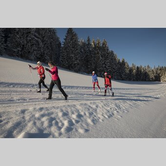 Vier Langläufer auf der Jogllandloipe in der Oststeiermark | ©  Oststeiermark Tourismus | Bernhard Bergmann