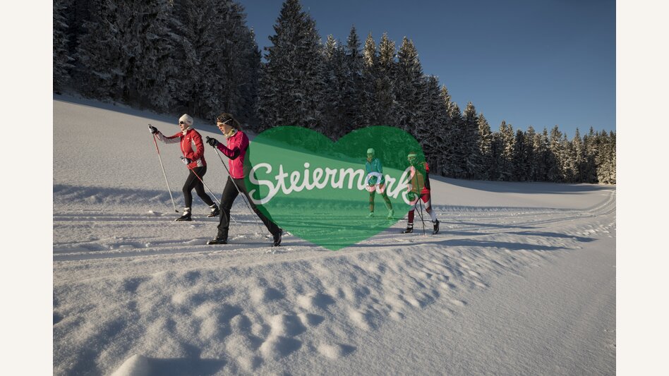 Vier Langläufer auf der Jogllandloipe in der Oststeiermark | ©  Oststeiermark Tourismus | Bernhard Bergmann