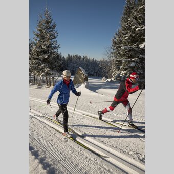 Zwei Langläufer auf der Jogllandloipe in der Oststeiermark | ©  Oststeiermark Tourismus | Bernhard Bergmann