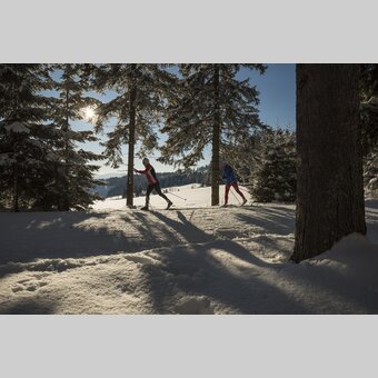 Langläufer auf der Jogllandloipe | © Oststeiermark Tourismus | Bernhard Bergmann