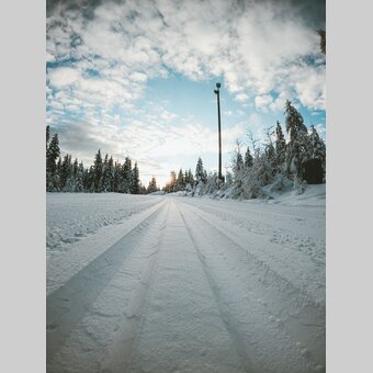 Spuren der Langlaufloipe | ©  Oststeiermark Tourismus | Anja Gleichweit