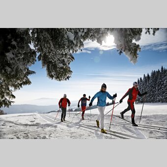 Langlaufen in der Oststeiermark in einer traumhaften Winterlandschaft | © 
Oststeiermark Tourismus | Bernhard Bergmann