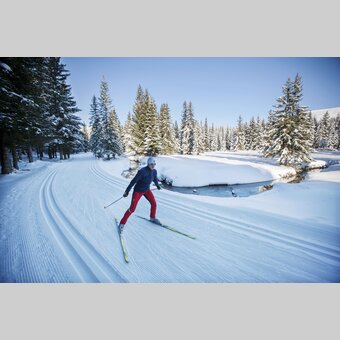 Langlaufen im Naturpark Almenland in der Oststeiermark | ©  Oststeiermark Tourismus | Harald Eisenberger