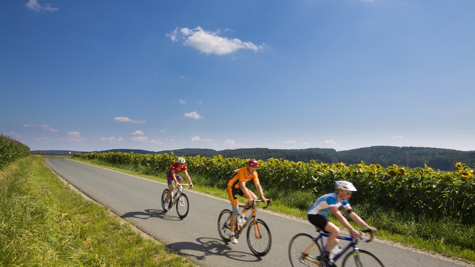 Cycling next to sunflower field | © TV Oststeiermark | Bernhard Bergmann