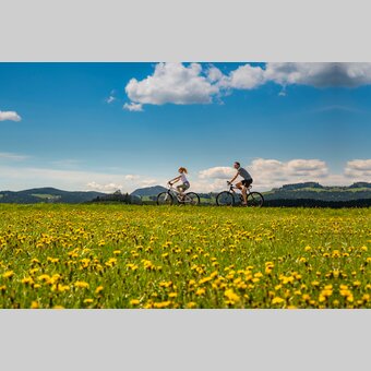 Radfahren entlang Löwenzahnwiesen in der Oststeiermark | © Oststeiermark Tourismus | Bernhard Bergmann