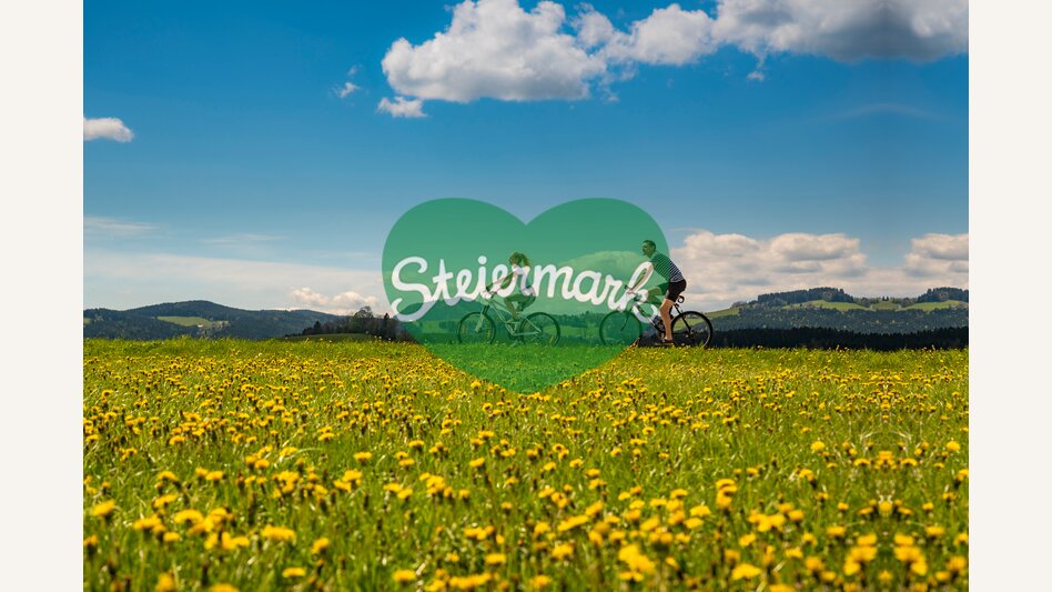 Radfahren entlang Löwenzahnwiesen in der Oststeiermark | © Oststeiermark Tourismus | Bernhard Bergmann