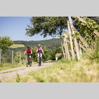 Pärchen beim Fahrradfahren durch die Weingärten von Löffelbach | © Oststeiermark Tourismus | Velontour