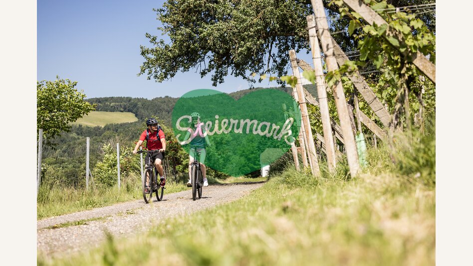 Pärchen beim Fahrradfahren durch die Weingärten von Löffelbach | © Oststeiermark Tourismus | Velontour