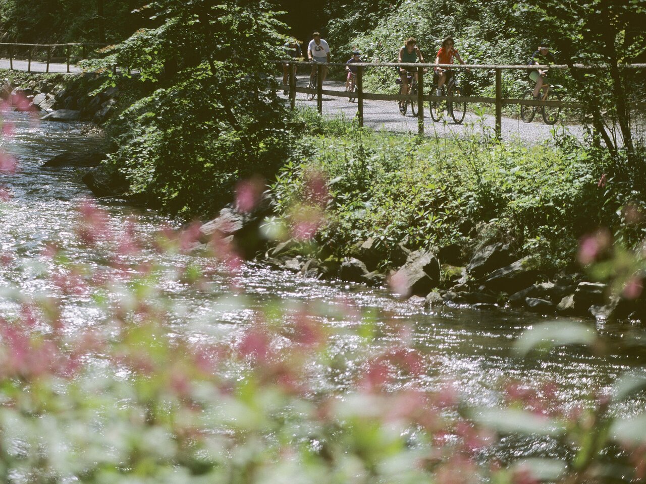Cycling along the Feistritz on the Feistritztalradweg R8 | ©  Oststeiermark Tourismus | Bernhard Bergmann