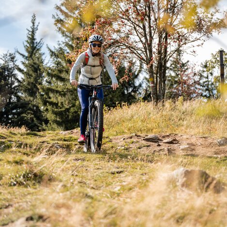 Autumn bike tour in Eastern Styria | © TV Oststeiermark | Klaus Ranger